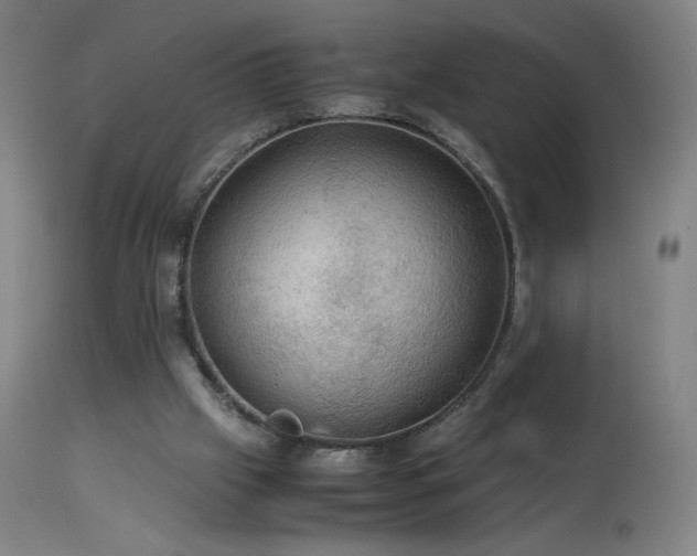 X0000114170057200910081532