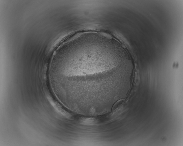 X0000114170058200910081532