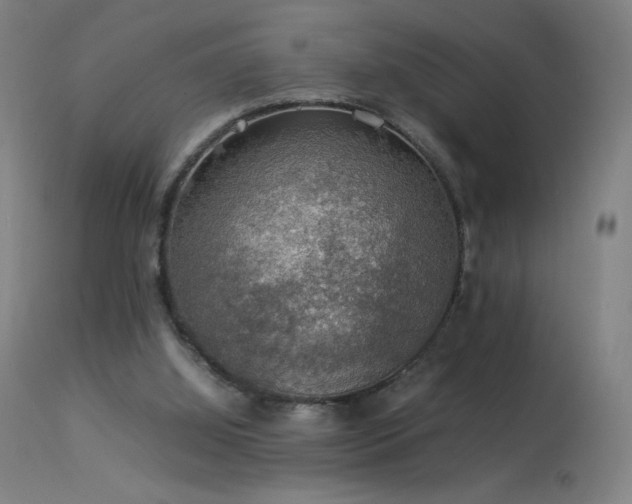 X0000114170060200910081532