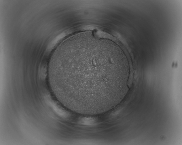 X0000114170063200910081532