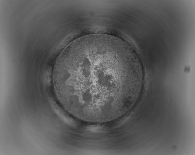 X0000114170065200910081532