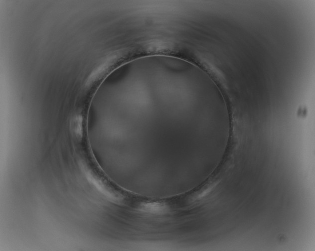 X0000114170067200910081532