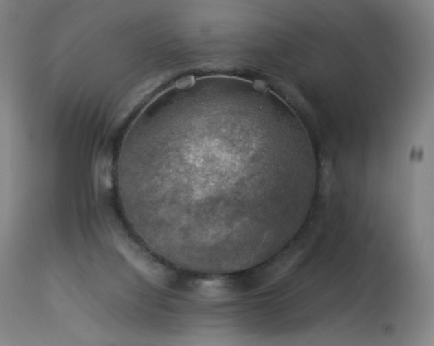 X0000114170068200910081532