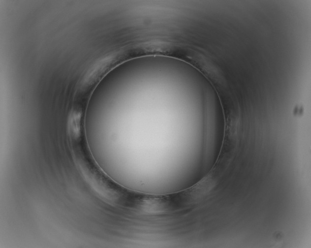 X0000114170070200910081532
