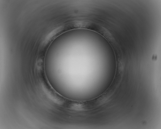 X0000114170071200910081532