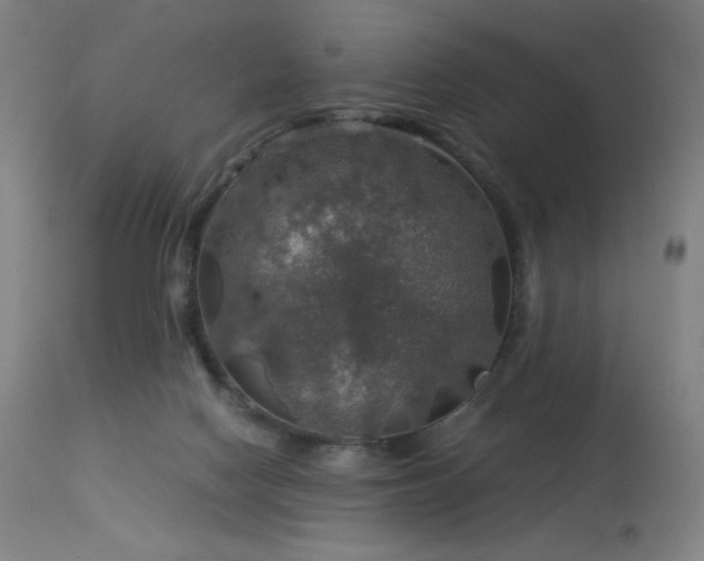 X0000114170074200910081532