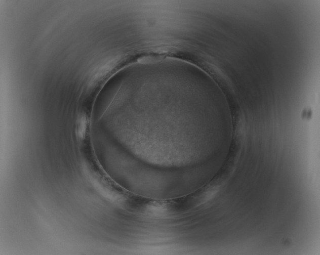 X0000114170076200910081532