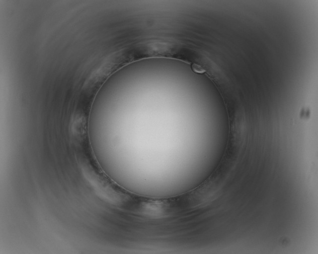 X0000114170079200910081532