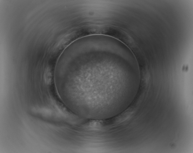 X0000114170080200910081532