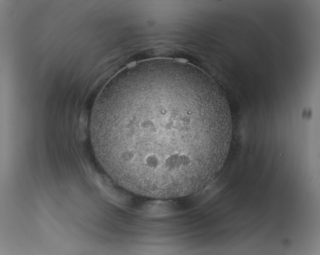 X0000114170082200910081532