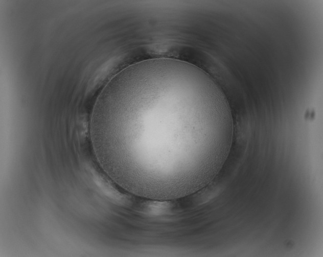 X0000114170085200910081532