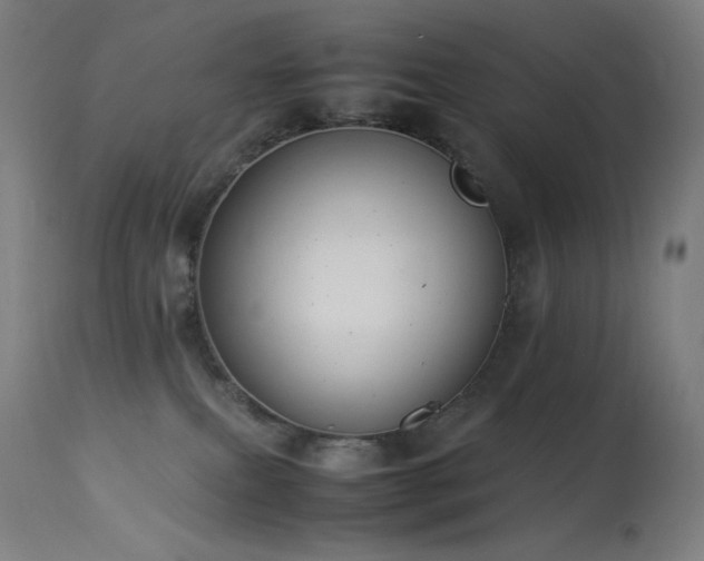 X0000114170087200910081532