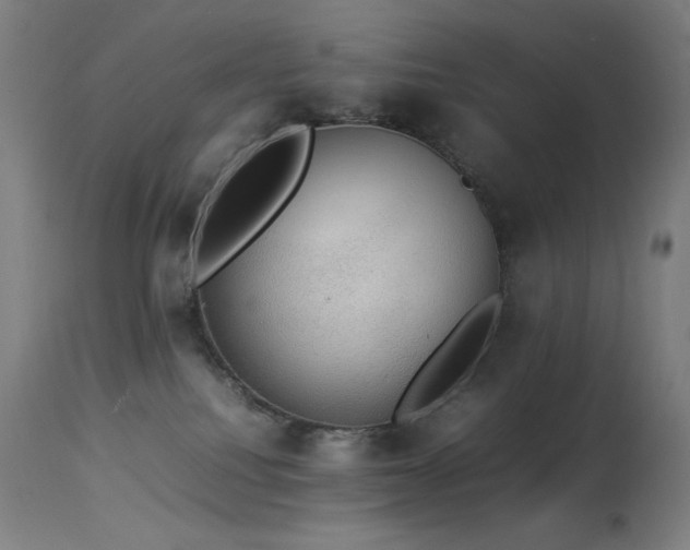 X0000114170088200910081532