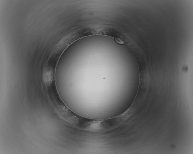 X0000114170090200910081532