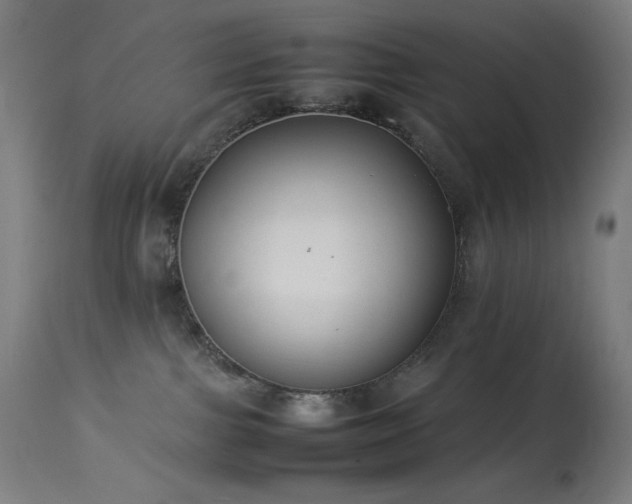 X0000114170091200910081532