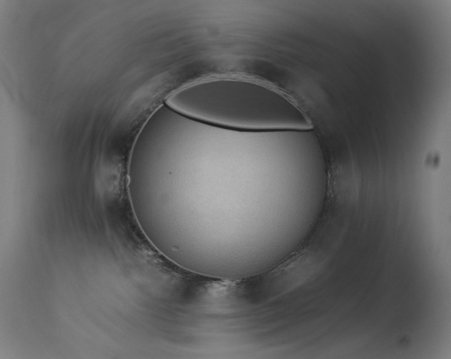 X0000114170092200910081532