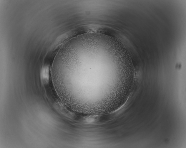 X0000114170094200910081533
