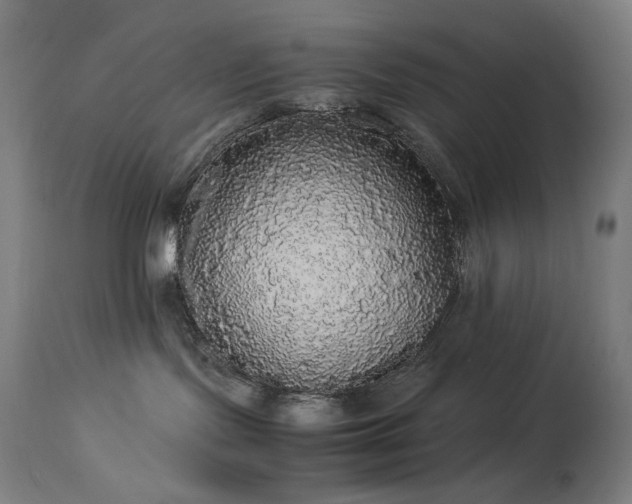 X0000114170095200910081533