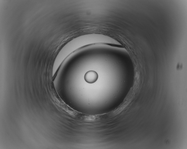 X0000114170096200910081533