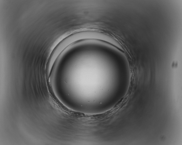 X0000114170100200910081532