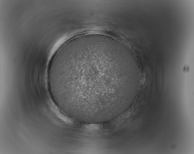 X0000114170102200910081532
