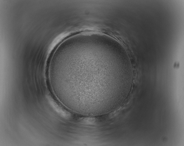 X0000114170104200910081532