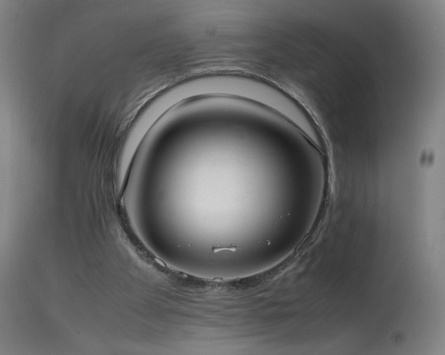 X0000114170105200910081532