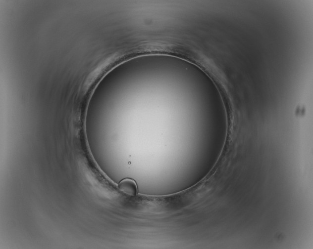 X0000114170107200910081532