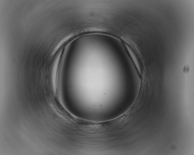 X0000114170108200910081532