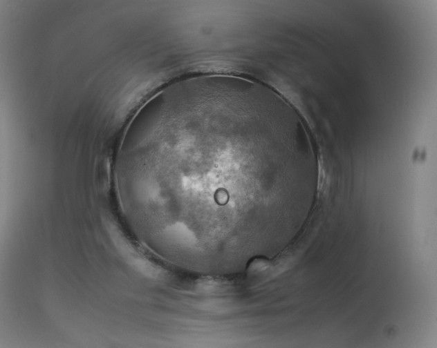 X0000114170109200910081532