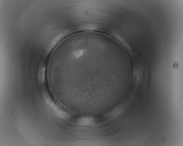 X0000114170110200910081532