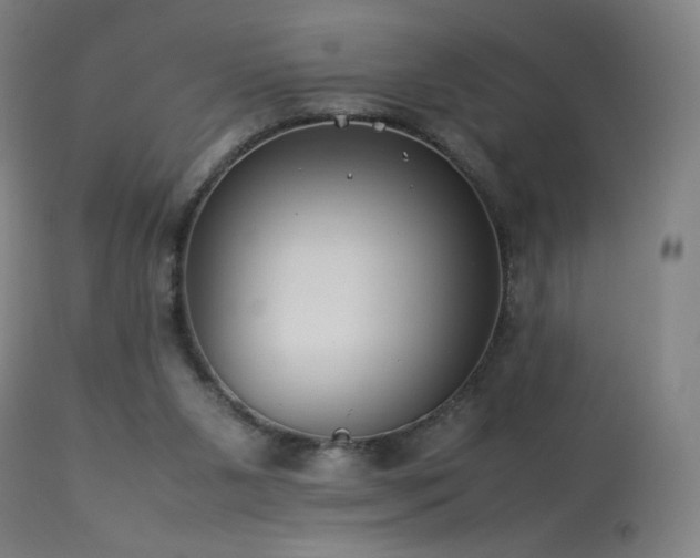 X0000114170111200910081532