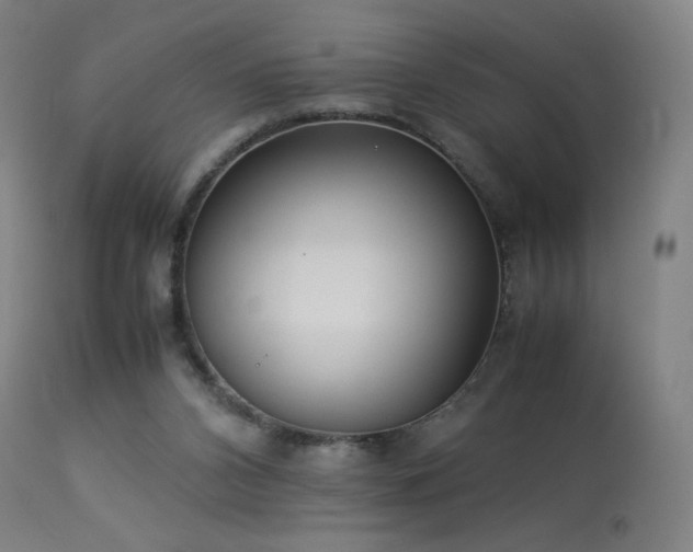X0000114170112200910081532