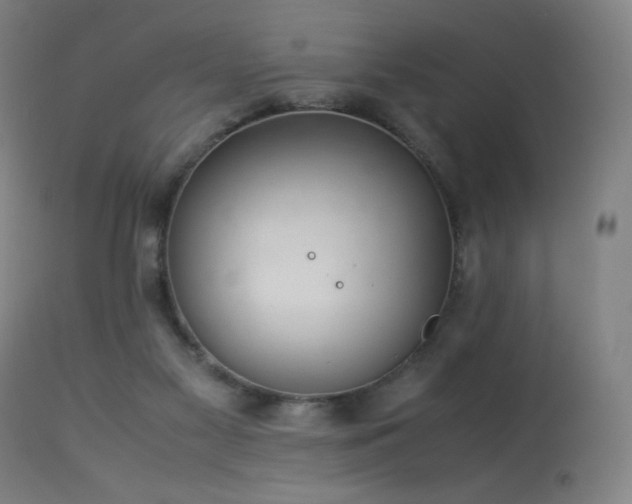 X0000114170117200910081531
