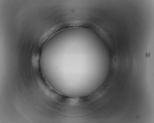 X0000114170118200910081531