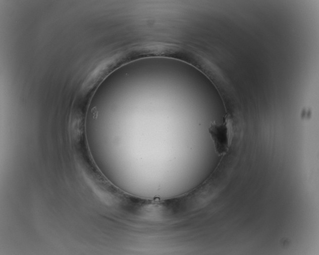 X0000114170119200910081531