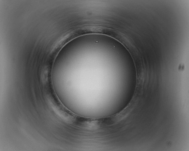 X0000114170120200910081531