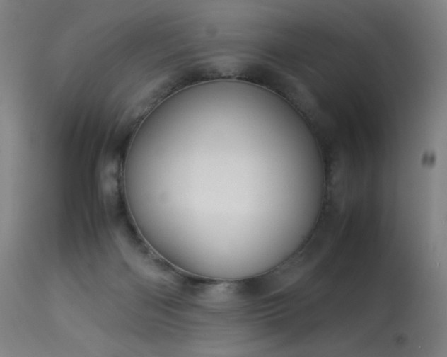X0000114170122200910081531