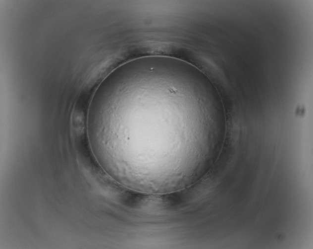 X0000114170123200910081531