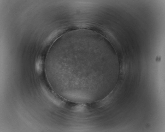 X0000114170124200910081531