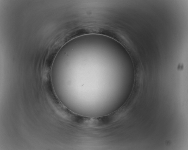 X0000114170125200910081531