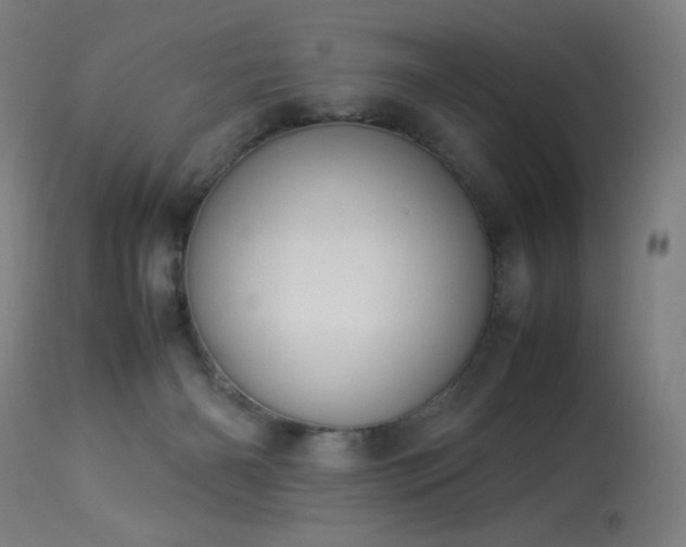 X0000114170126200910081531