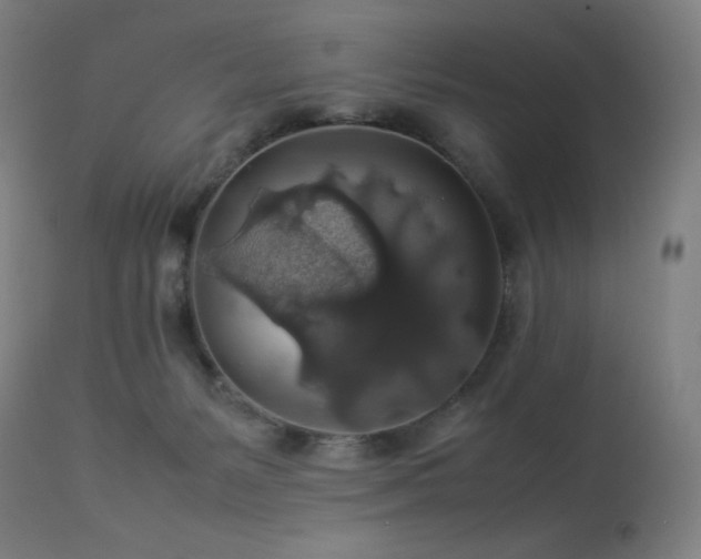 X0000114170127200910081531