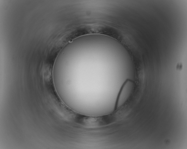 X0000114170129200910081531