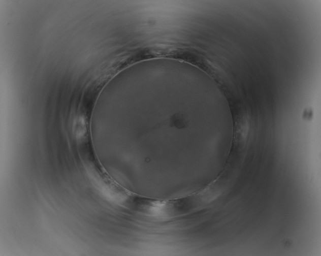 X0000114170130200910081531