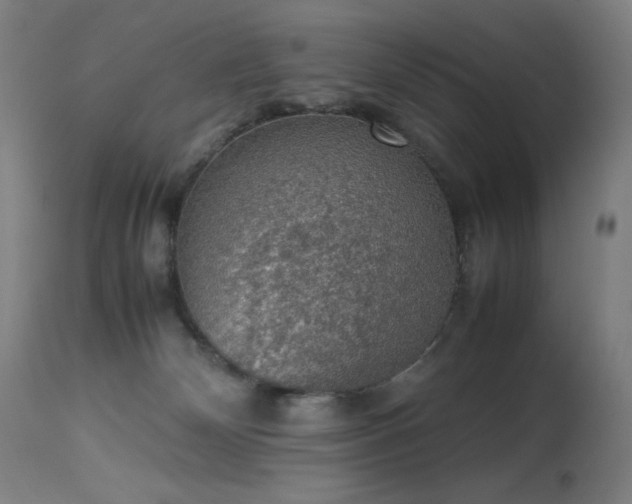 X0000114170132200910081531