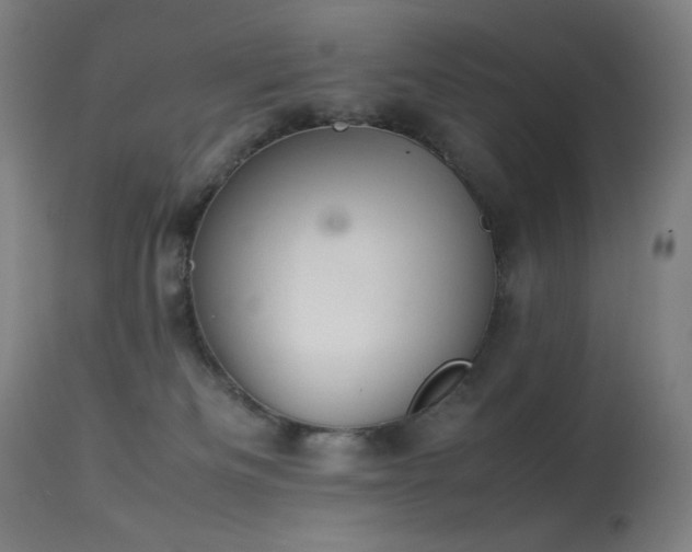 X0000114170133200910081531