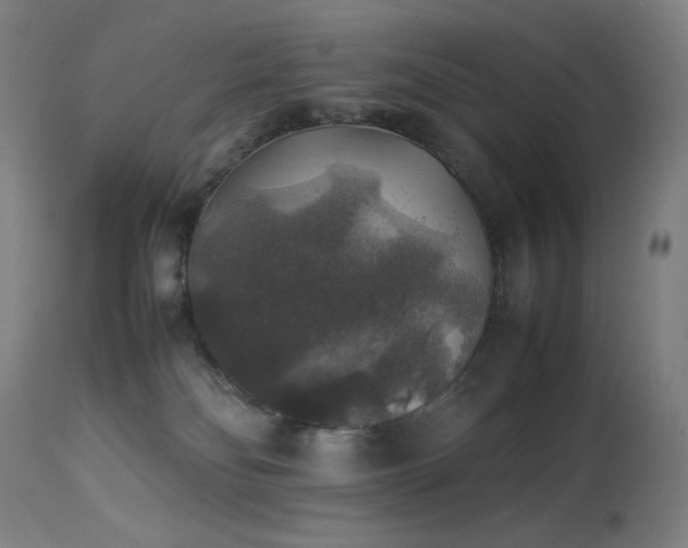 X0000114170134200910081531