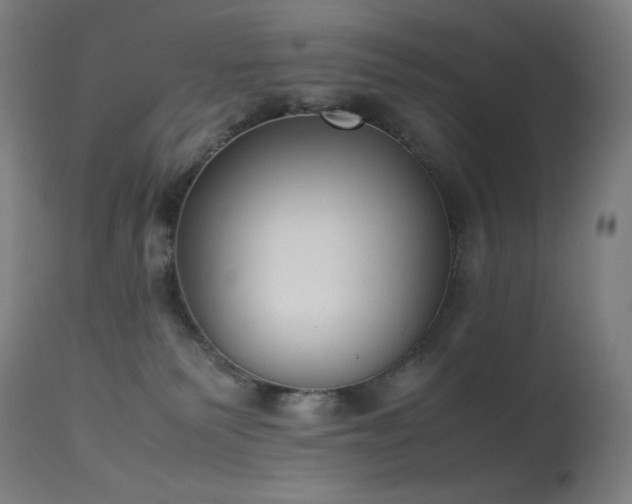 X0000114170135200910081531