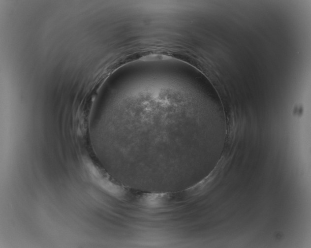 X0000114170136200910081531